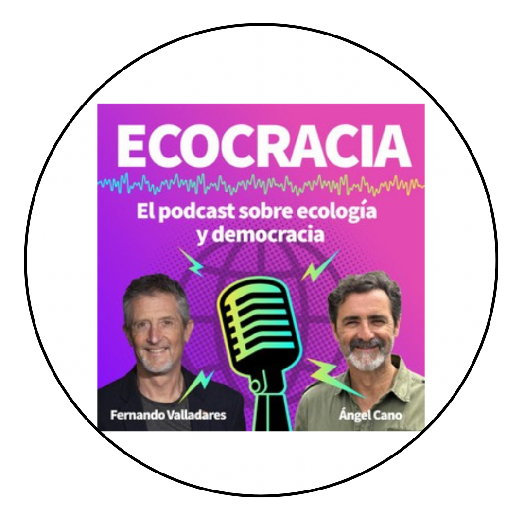 Radio publica local T.