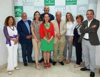 Entidades del ámbito audiovisual solicitan al Consejo Audiovisual de Andalucía que se pronuncie sobre la modificación de la Ley Audiovisual Andaluza por el decreto 2/2020